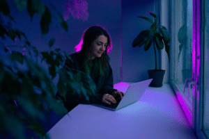 image994 AnonMedia Mulher trabalhando em um laptop à noite iluminada por luz roxa e azul representando creators brasileiros planejando conteúdo e buscando crescimento profissional para 2025